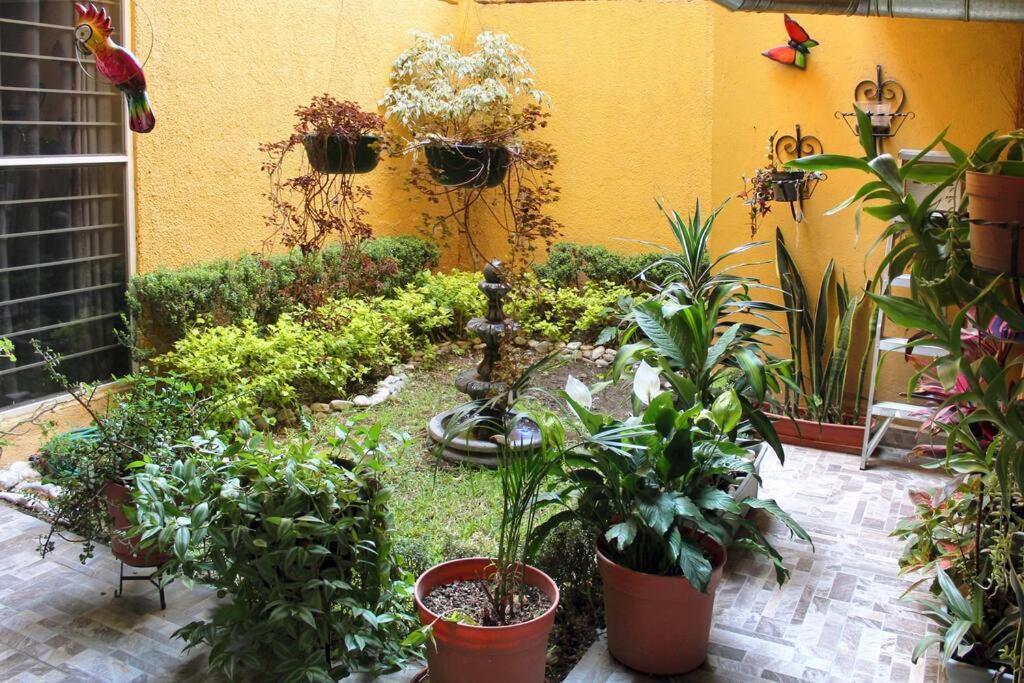 Colorida Casa Azul En Texcoco Centro Wifi Cocina Villa Texcoco de Mora Eksteriør billede